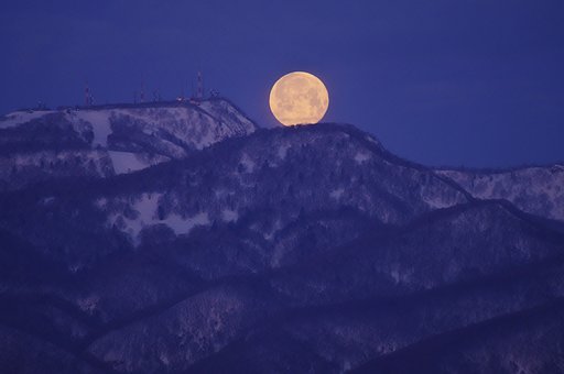 3月26日の写真