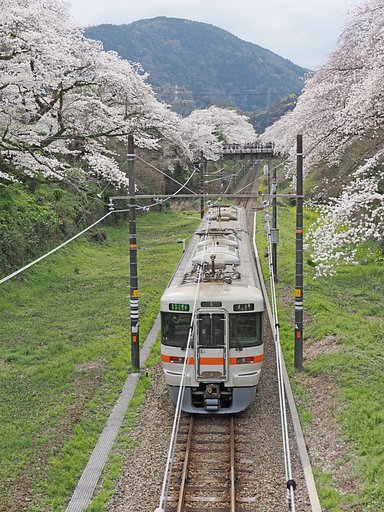 山北の桜〜また一つ春を過ぎる〜