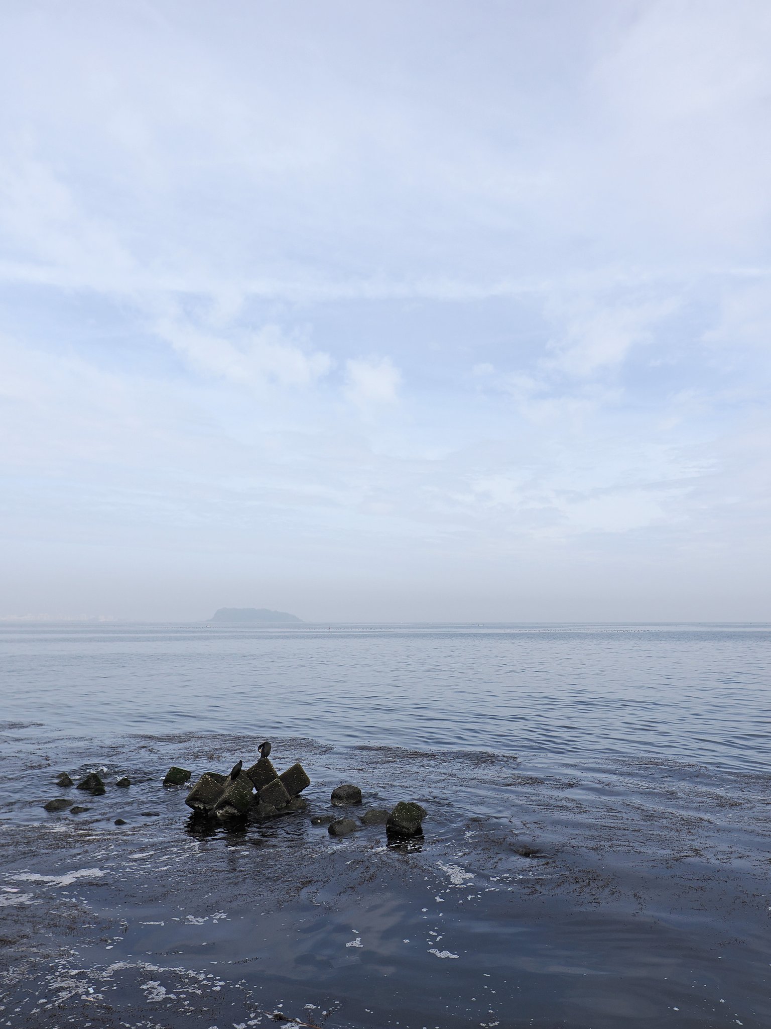 春の海