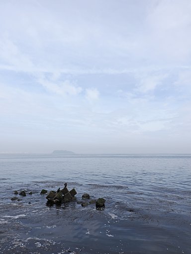 春の海