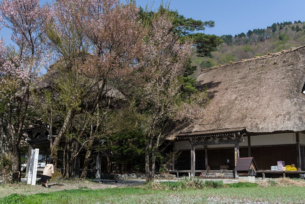 里山にも春の訪れⅣ_明善寺