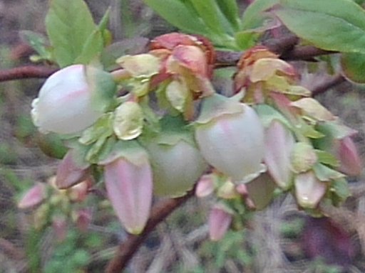 4月9日の写真