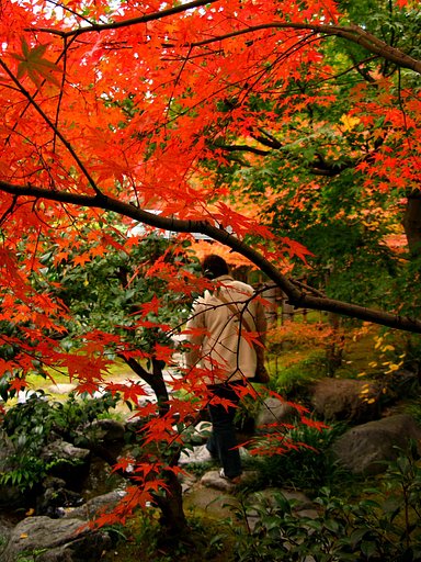 紅葉散策