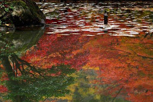 秋映