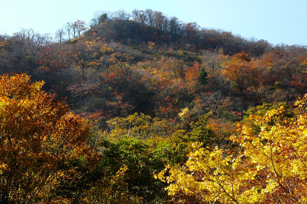 晩秋
