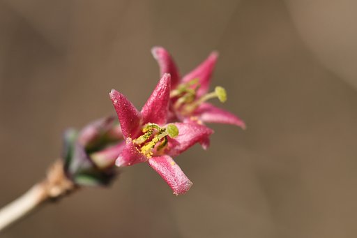 里山に春一番