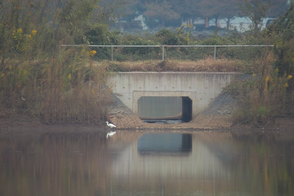調節池２