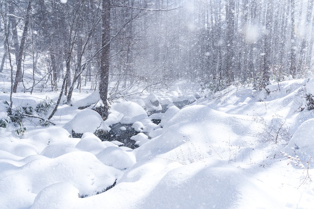 風を撮る_雪風