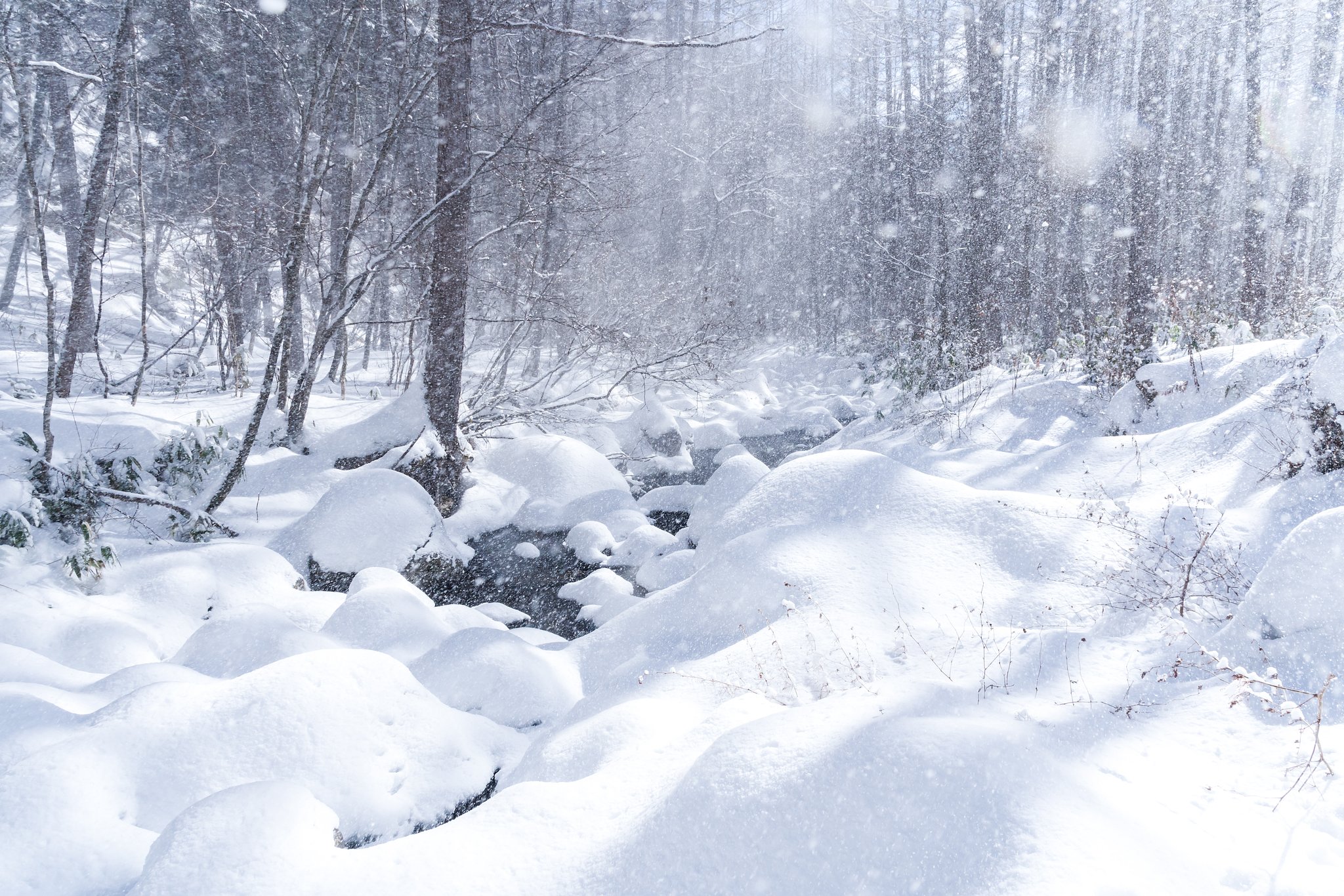 風を撮る_雪風
