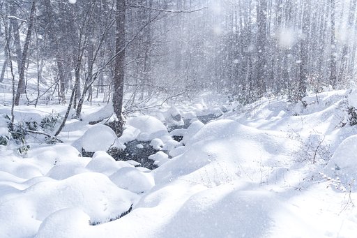風を撮る_雪風