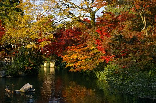 永観堂の紅葉