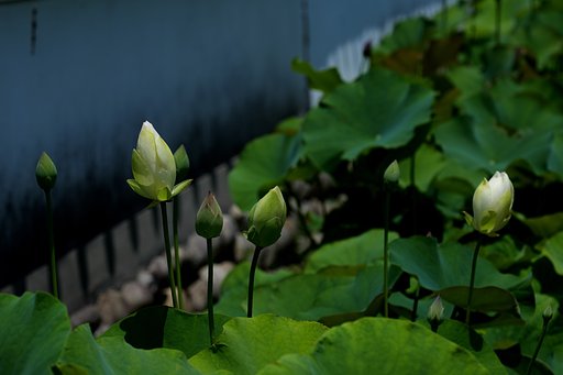 こっちのが早そう～