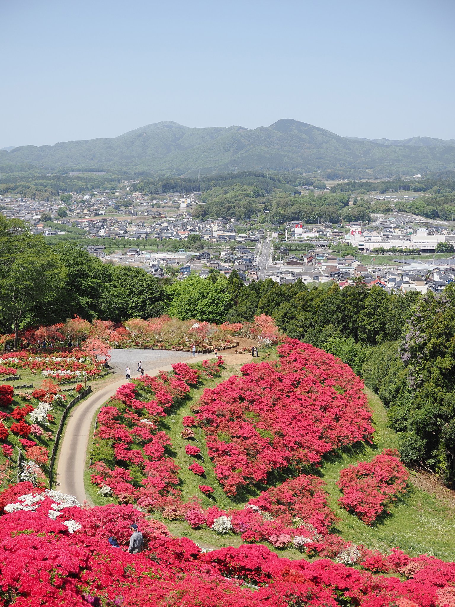 赤く染まる山
