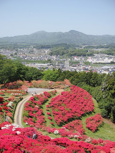 赤く染まる山
