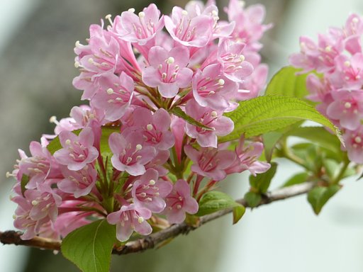 4月23日の写真
