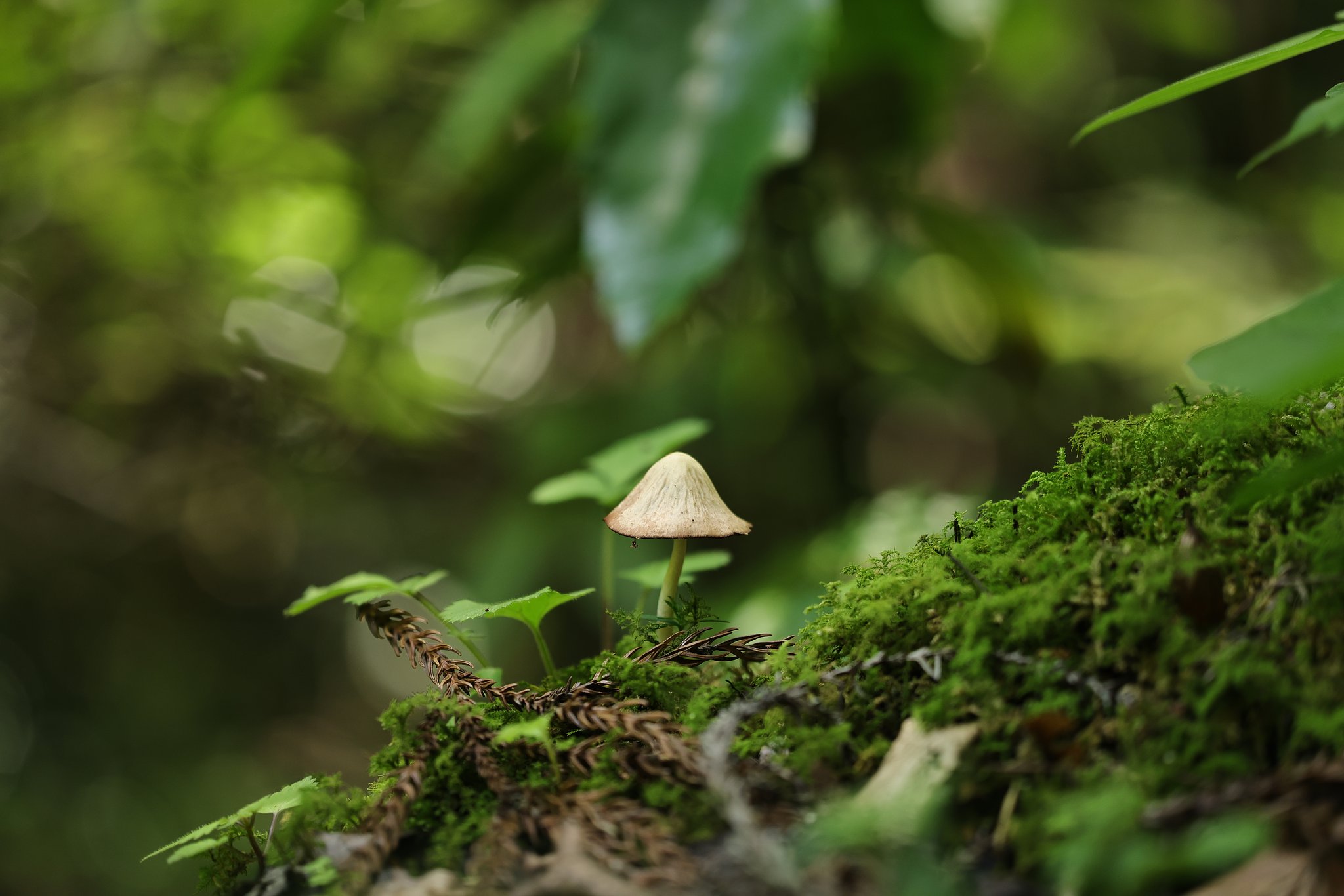 静寂その２
