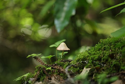 静寂その２
