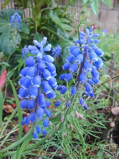 4月24日の写真