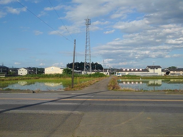 道路の向かい側に見える変わった形の鉄塔