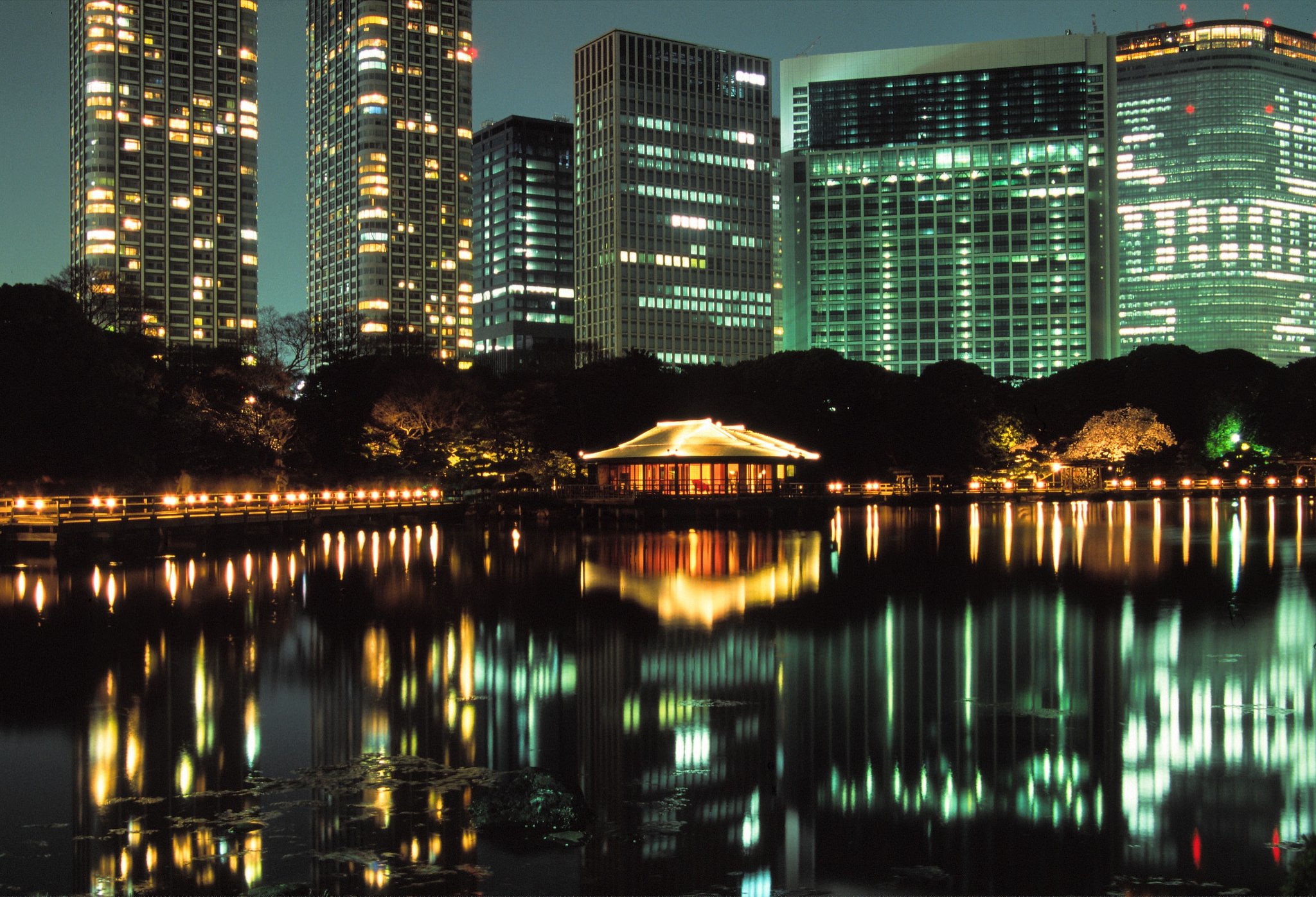 浜離宮夜景