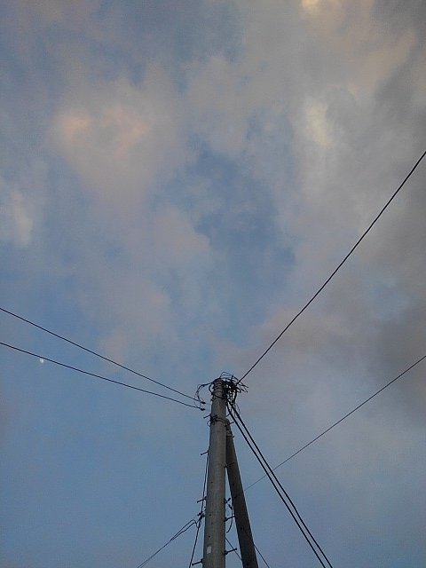 電柱の上の空（3/20に撮影）
