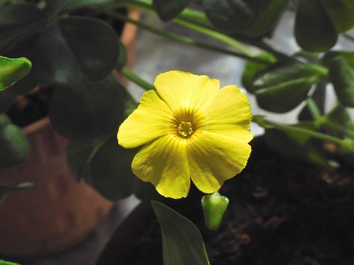 3月15日の写真