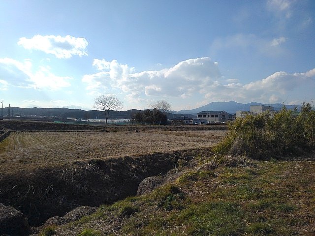 コンビニの駐車場から見えた景色（3/14に撮影）