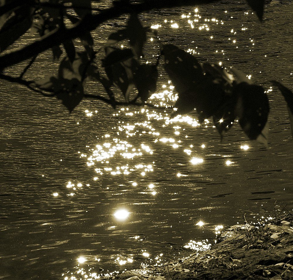 水辺