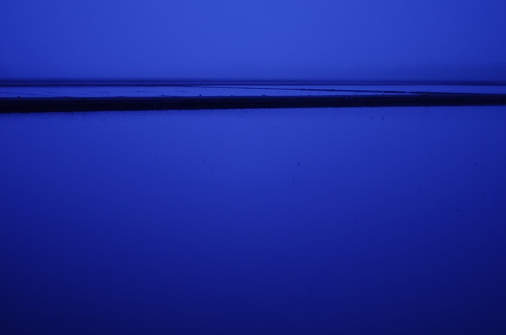霧