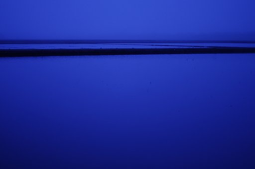 霧