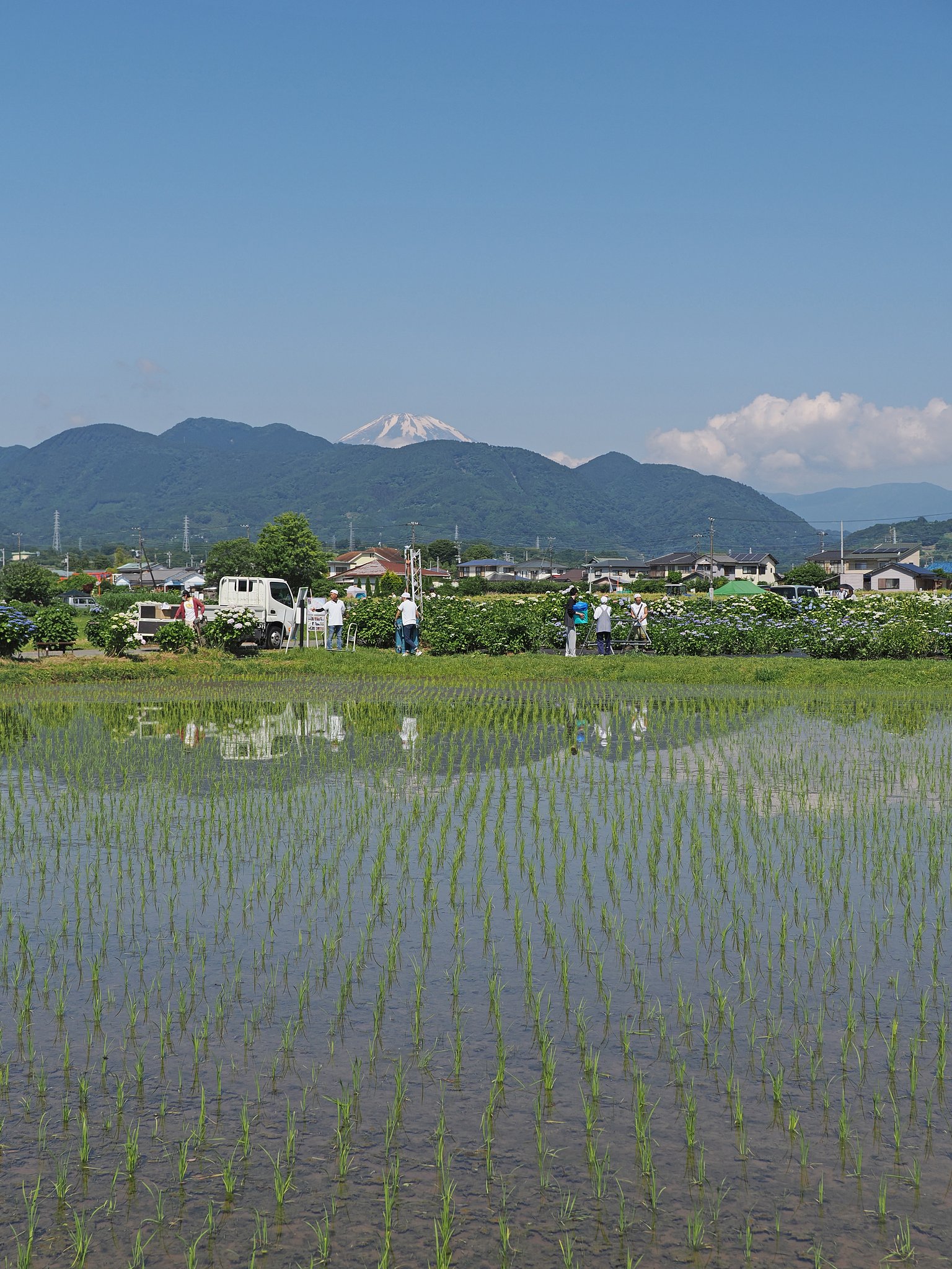 水と人が育む風景