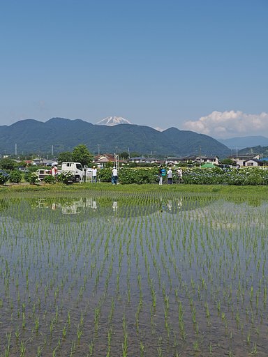 水と人が育む風景