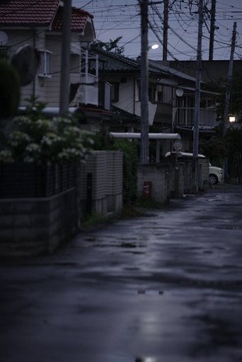 弱近視メガネ