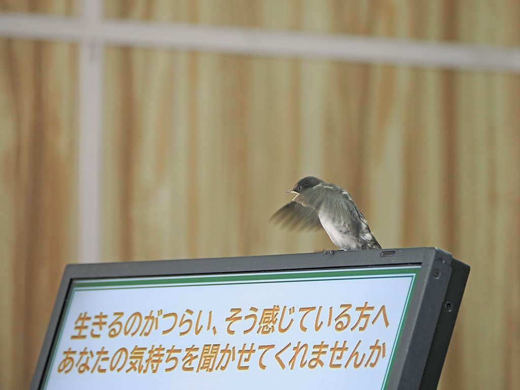 お悩み相談