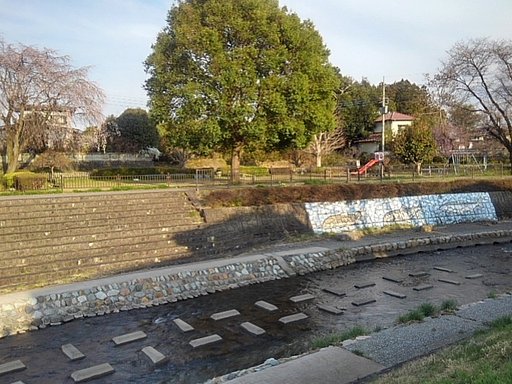 川の向こうのシダレザクラのある小さな公園