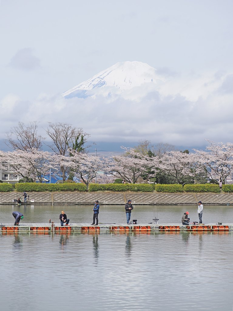 ようこそ桜の国へ