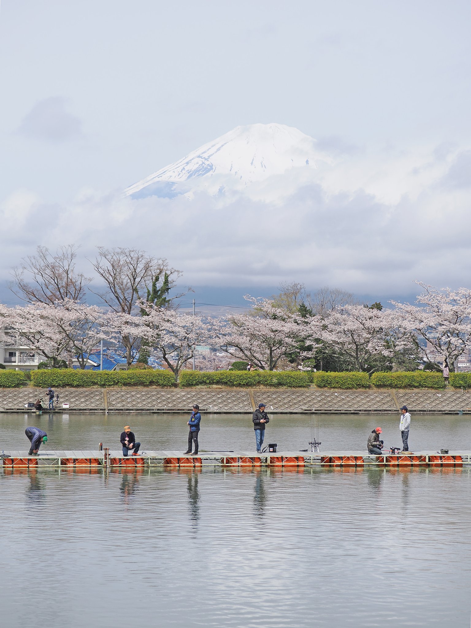 ようこそ桜の国へ