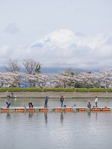 ようこそ桜の国へ