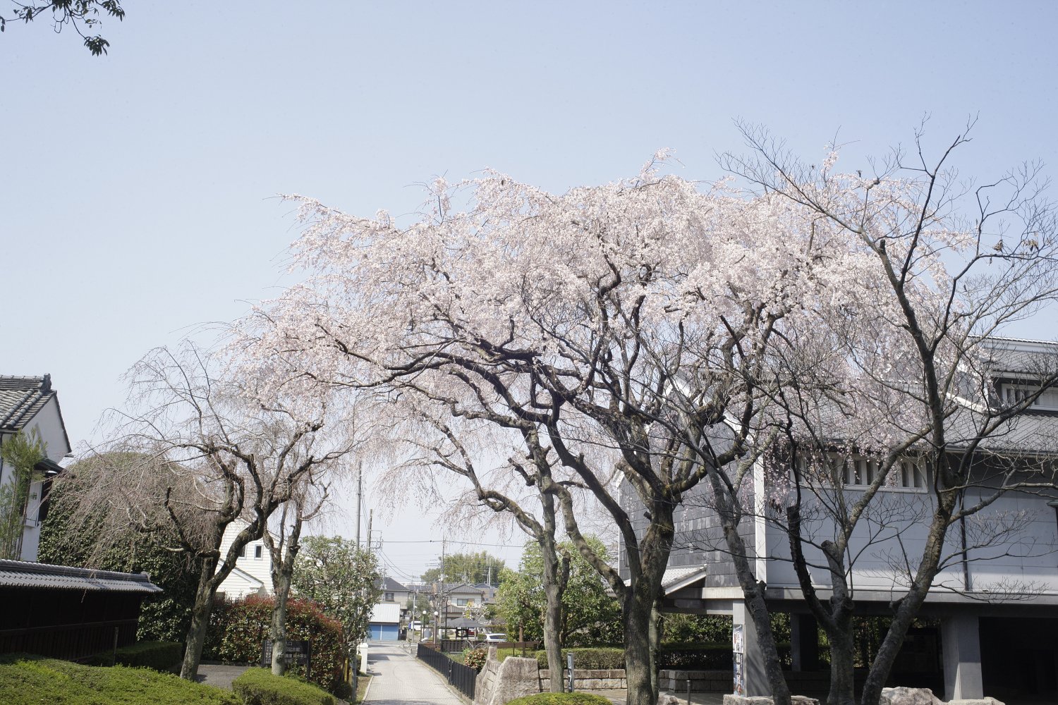 【光】定常光