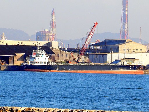 散歩道から見た対岸　２