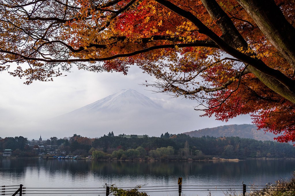紅葉と富士山