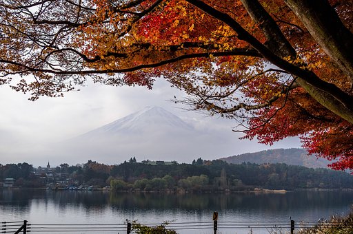 紅葉と富士山