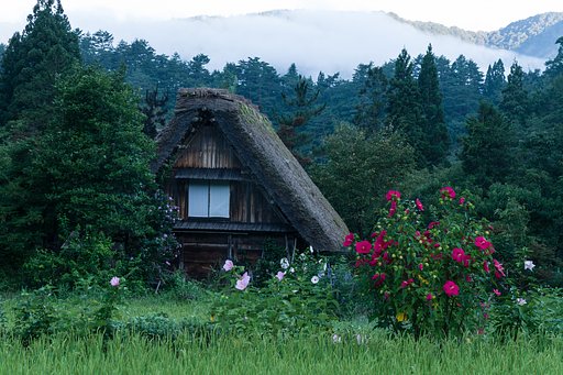 夏の忘れもの