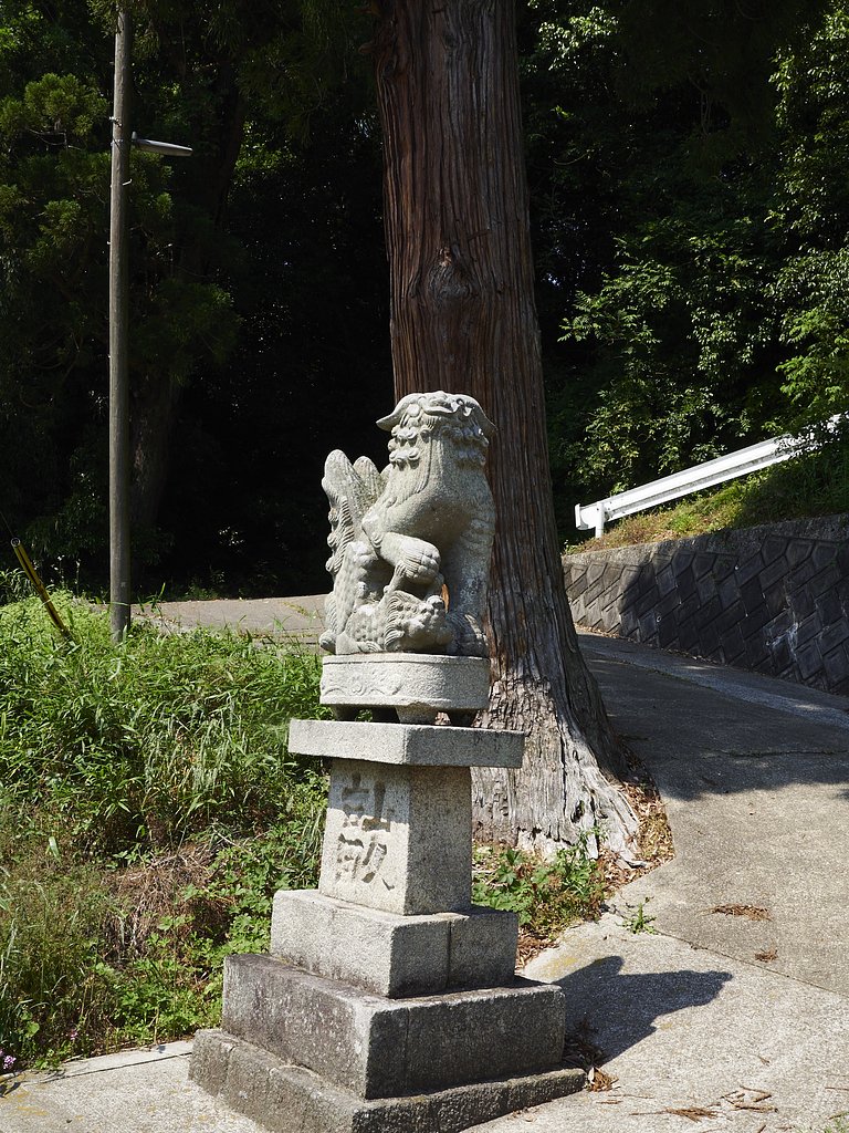 雑感