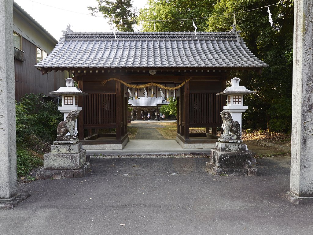 雑感
