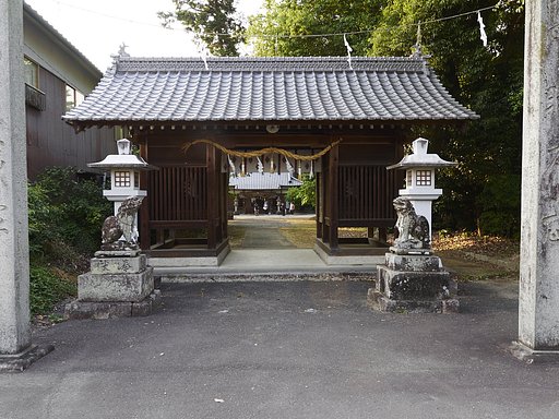 雑感