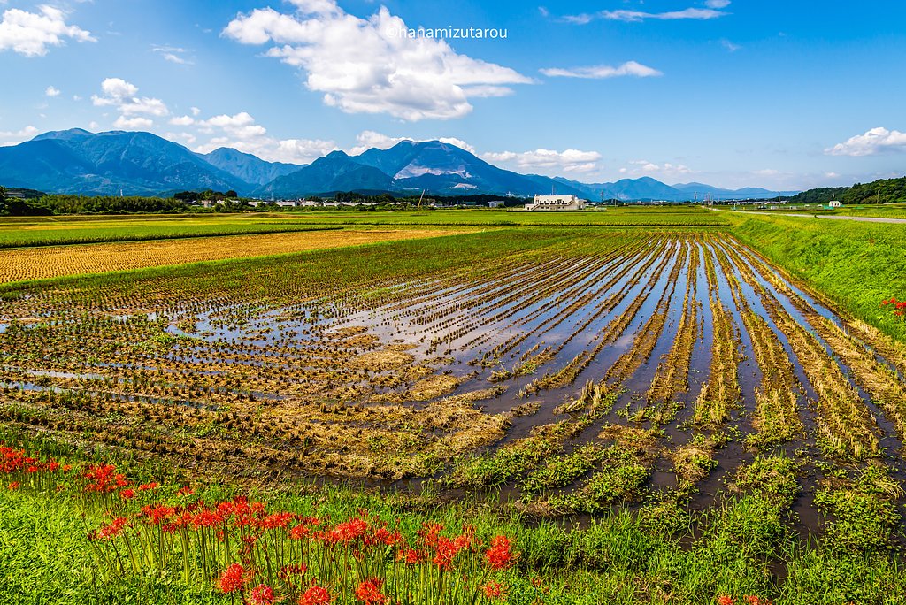 【情景】いなか風景