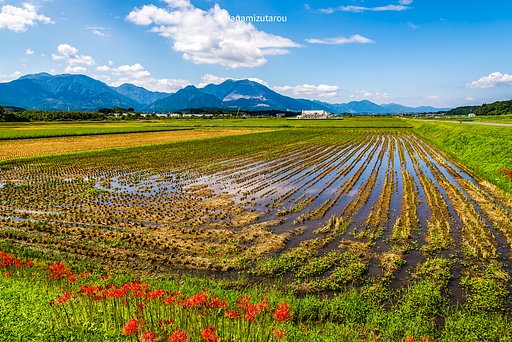【情景】いなか風景