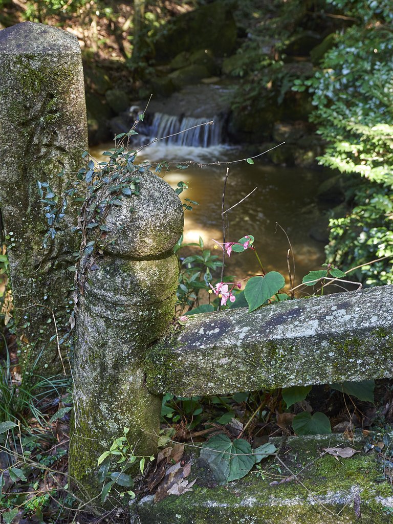 森の神社