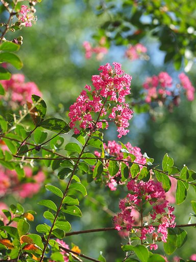 9月23日の写真